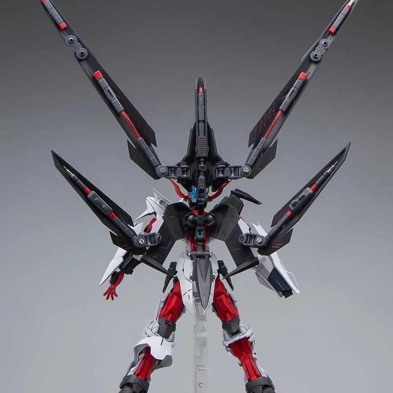 HG 1/144 Astray No-Name Astray - Model Kit Gundam Hg 评论和价格