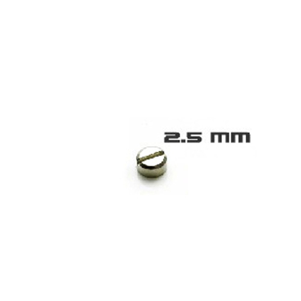 30pcs Armored Screws Model Sup - Model Kit Gundam Hg 评论和价格